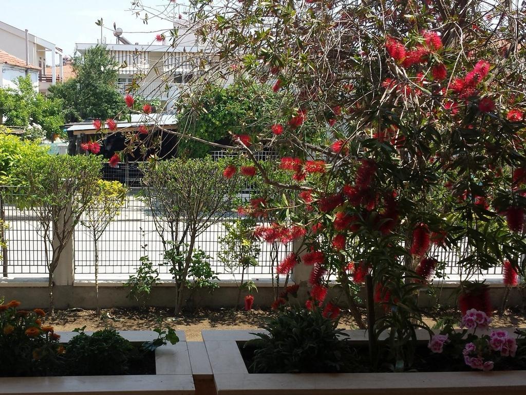 Zach'S House Villa Nea Roda Exterior photo